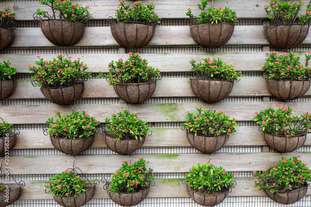 Fototapeta premium Garden Wall
