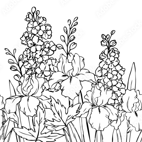 vector contour delphinium iris flowers bud leaf seamless repeating pattern coloring book