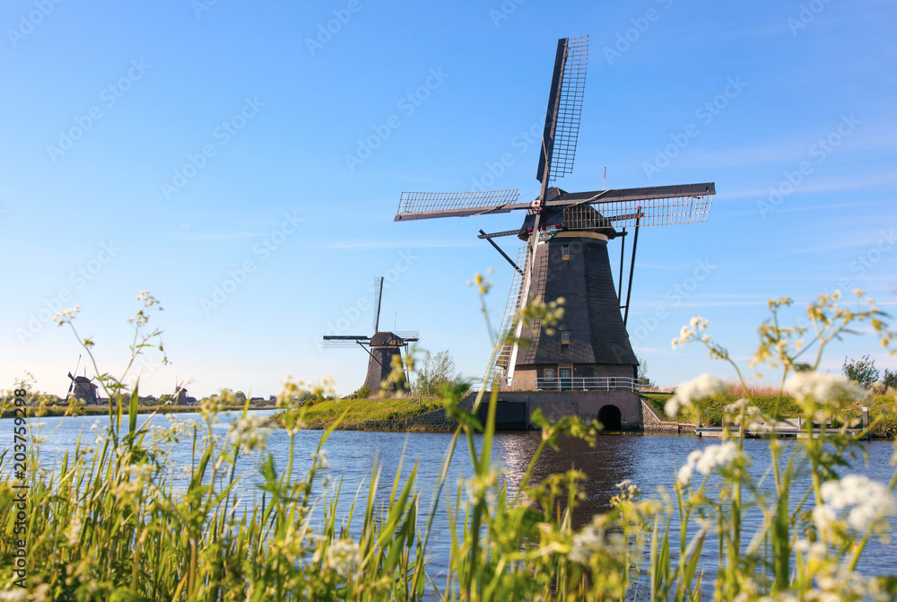 Traditional dutch windmills near the canal in Kinderdijk