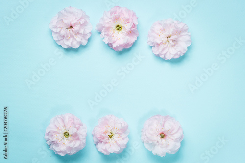olia roses, the Provence rose or cabbage rose or Rose de Mai © Parfenova