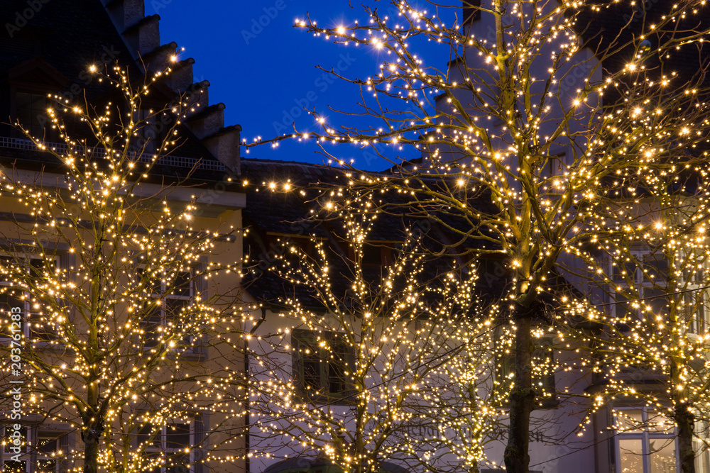 Christmas night in town with lit tree branches