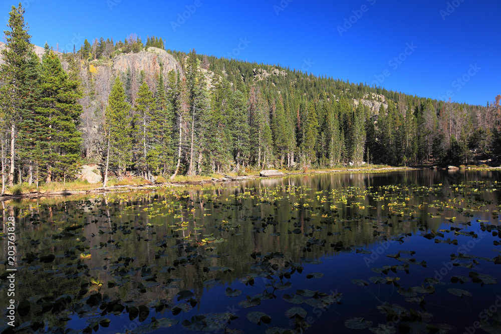 Fototapeta premium Rocky Mountains National Park, Colorado, USA 