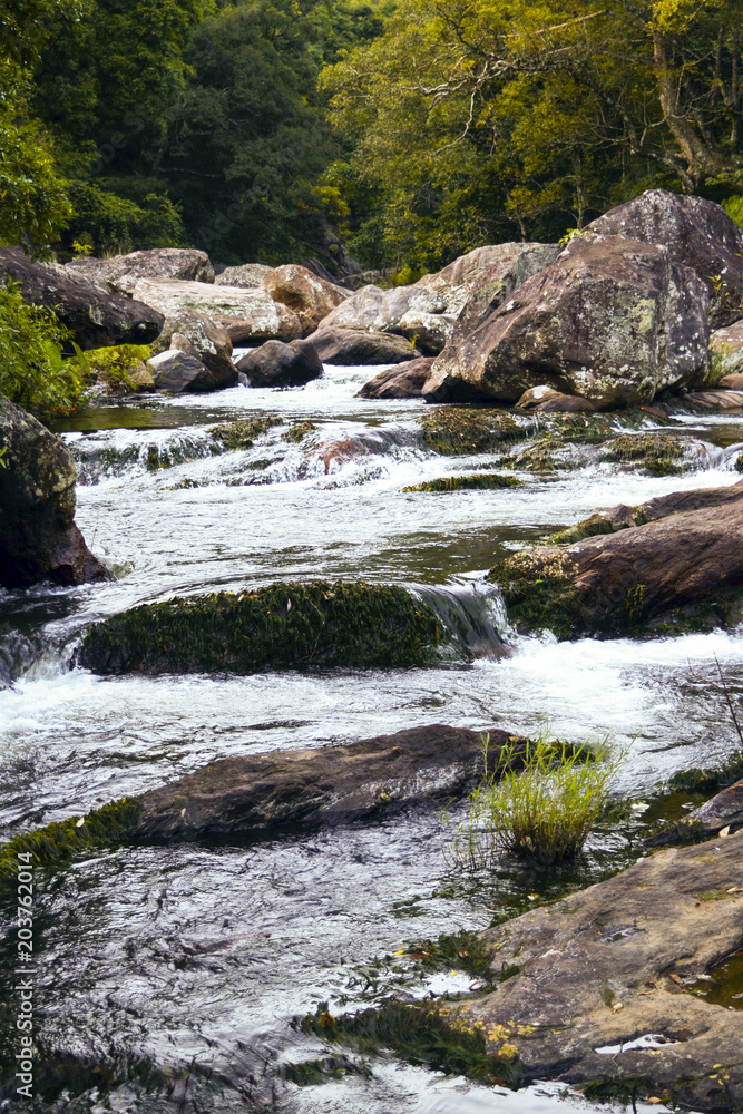 River through rock and forest River through rock and forest