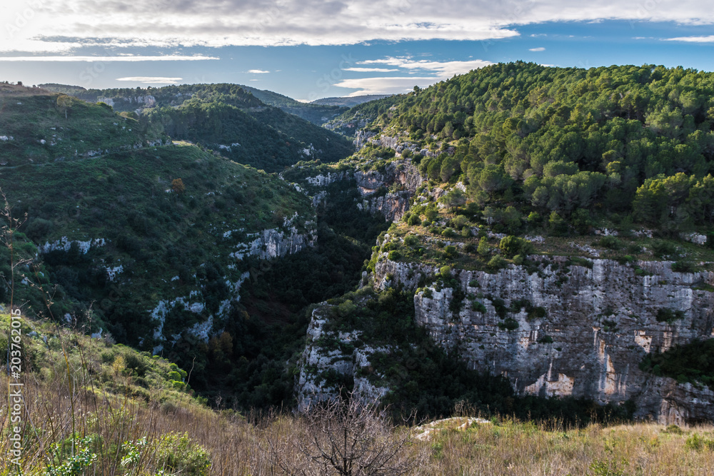 Obraz premium Panoramic view of the Anapo valley and the Pantalica plateau near Siracusa, in Sicily