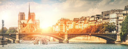 vista dalla Senna di Parigi e Notre Dame