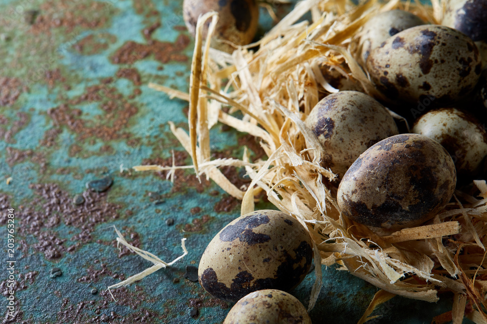 Conceptual still-life with quail eggs in hay nest over blue textured background, close up, selective focus Conceptual still-life with quail eggs in hay nest over blue textured background, close up, selective focus