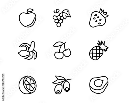 fruit hand drawn icon set design illustration  hand drawn style design  designed web and app