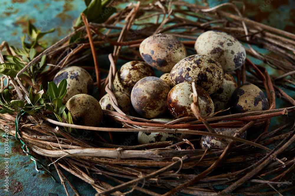 Nest with quail eggs on the blue background, top view, close-up, selective focus Nest with quail eggs on the blue background, top view, close-up, selective focus