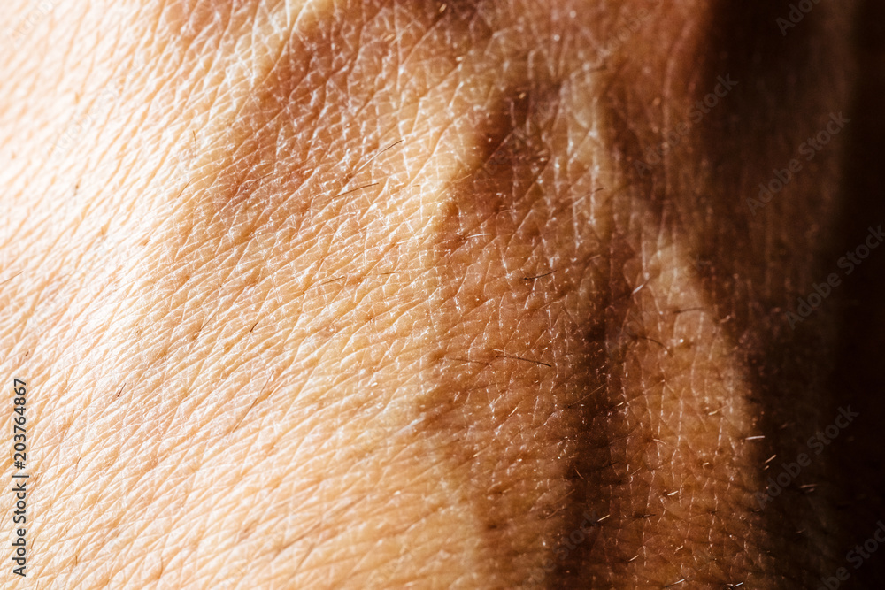 Close up of hand skin Close up of hand skin