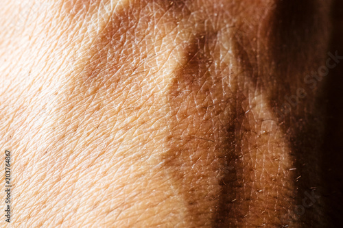 Close up of hand skin