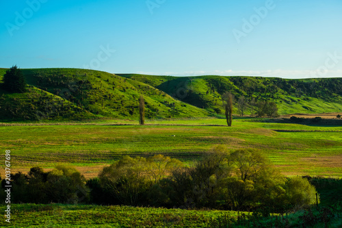 Stunning scene clear blue sky with green grassland in the morning. New Zealand agriculture in the rural area.