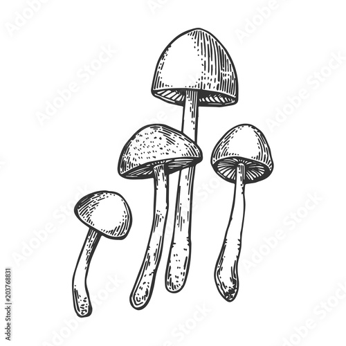 Narcotic mushroom engraving vector illustration