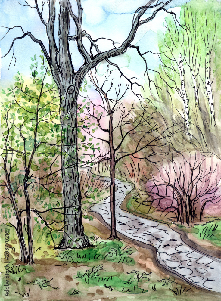 Obraz Wiosna krajobraz, rysunek z akwarela i liniowej. Widok na park ze ścieżką, szkic.