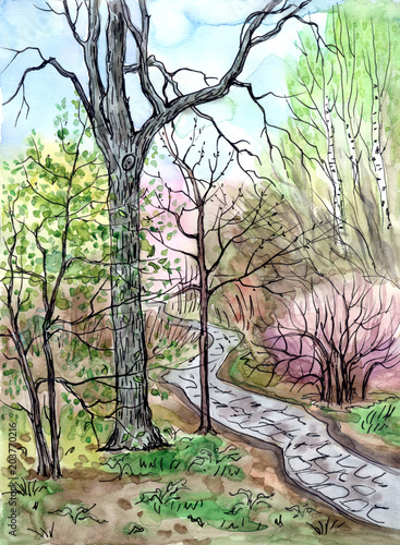 Obraz na płótnie Wiosna krajobraz, rysunek z akwarela i liniowej. Widok na park ze ścieżką, szkic.