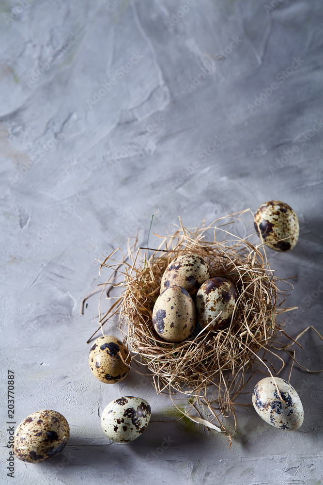 Conceptual still-life with quail eggs in hay nest over grey background, close up, selective focus Conceptual still-life with quail eggs in hay nest over grey background, close up, selective focus