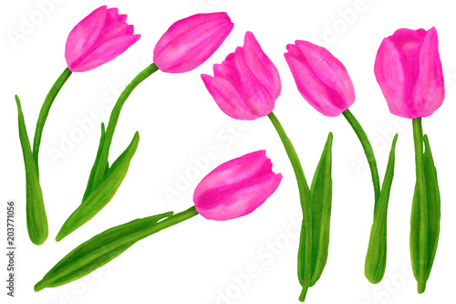 Set of hand drawn colorful tulips flower. Beautiful garden plants in sketch style for design greeting card, package, textile. Cartoon illustration isolated on white background.