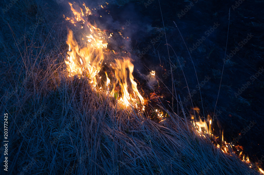 A spring fire. Burning grass. Field Smoke Background