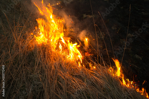 A spring fire. Burning grass. Field Smoke Background