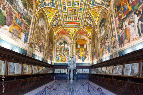 The architectures and the art of Siena