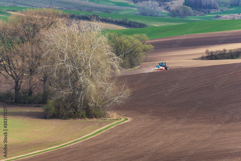 Scenic View Of Farming BlueTractor With Red Harrow Which Plowing And Spraying Brown Spring Field. Small Blue Tractor Working On Brown Field. Tractor Cultivating Field. Agricultural Landscape.