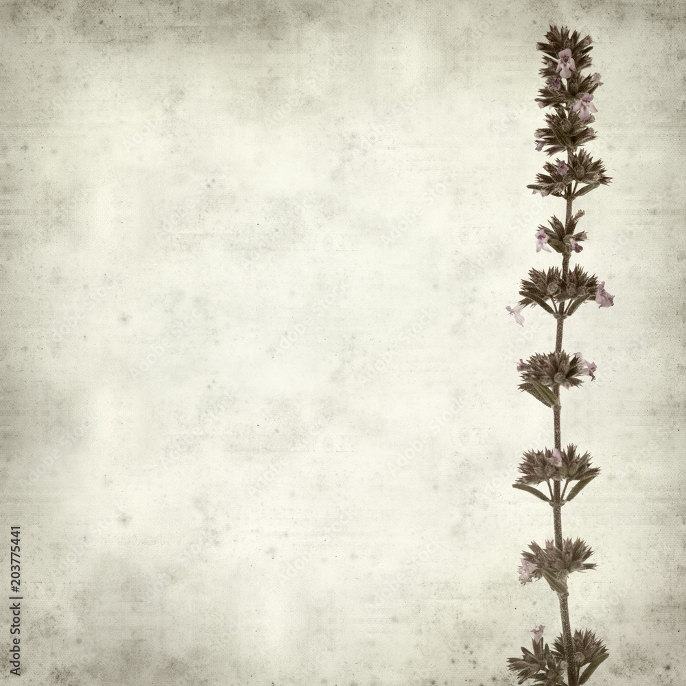 textured old paper background textured old paper background