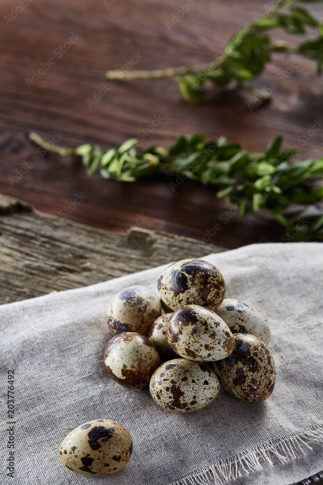 Quail eggs arranged in pyramid on a napkin with boxwood branches over a wooden table, close-up, selective focus. Quail eggs arranged in pyramid on a napkin with boxwood branches over a wooden table, close-up, selective focus.