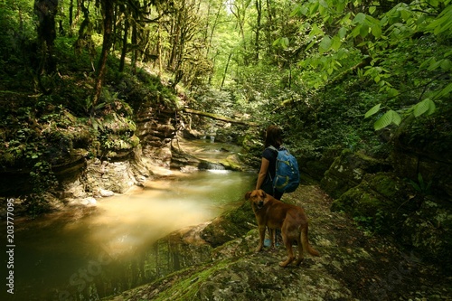 A tourist with a dog stands near a mountain river in the forest
