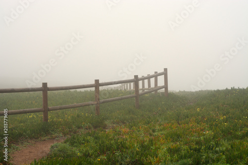 Wooden fence in the fog