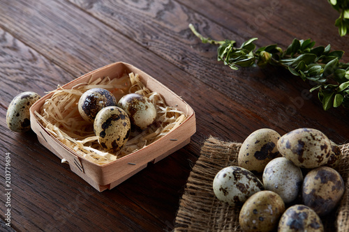 Composition of eggs quail box, eggs on a homespun napkin, boxwood on wooden background, top view photo