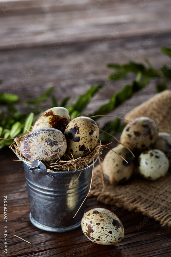 Spring composition of quail eggs in bucket on a linen napkin and boxwood branch, selective focus Spring composition of quail eggs in bucket on a linen napkin and boxwood branch, selective focus