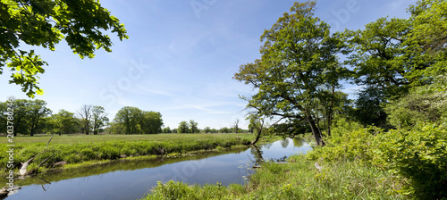 spring panoramic landscape