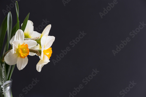 Fototapeta Naklejka Na Ścianę i Meble -  Beautiful spring flowers