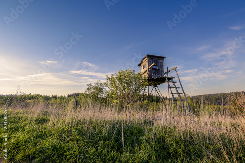 Wooden hunting tower on a beautiful meadow.