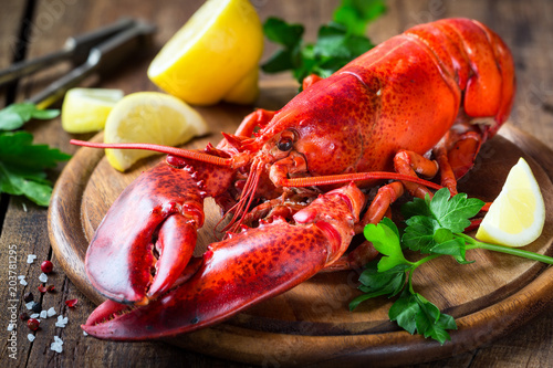 Steamed red lobster on a wooden cutting board with parsley and lemon