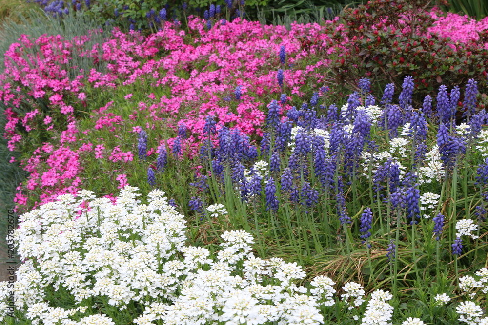 Spring Garden, Frühlingsgarten