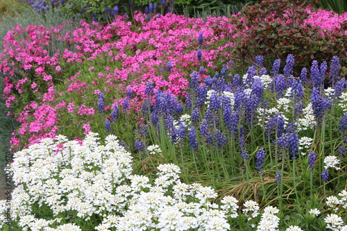 Obraz na płótnie Spring Garden, Frühlingsgarten w salonie
