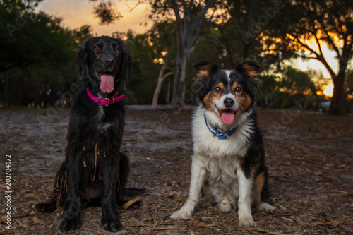 Foto Jessie and Kirra