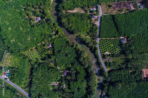 Green forest agricultural plantation with rural road aerial view