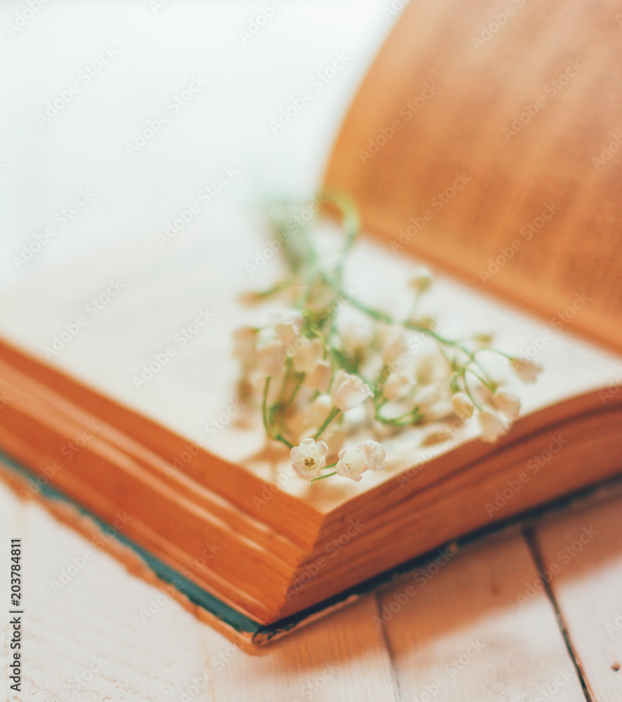 bouquet of Lily of the valley flowers on an open old book on a white vintage table, shallow depth of field bouquet of Lily of the valley flowers on an open old book on a white vintage table, shallow depth of field