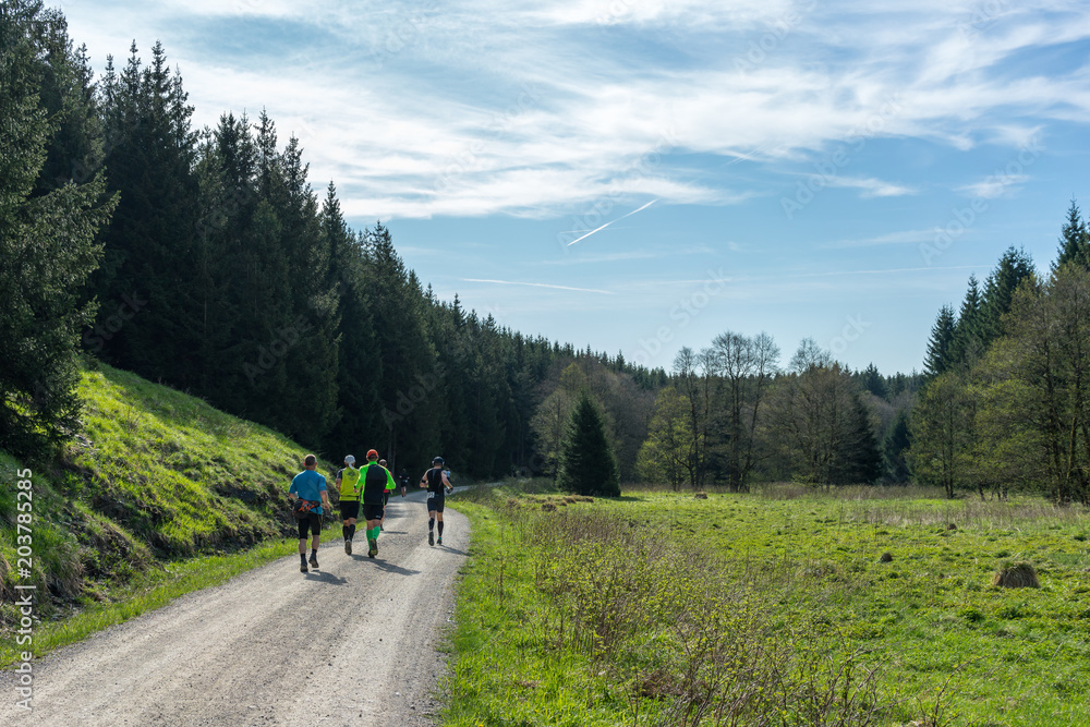 Fototapeta premium Running, Path through beautiful nature