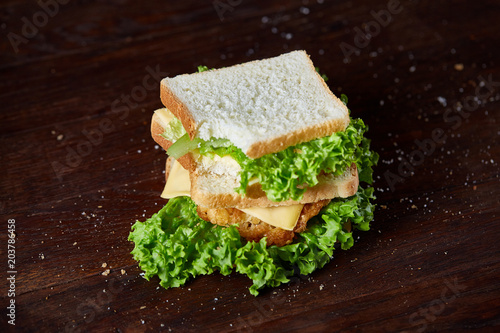 Tasty and fresh sandwiches on a dark wooden background, close-up