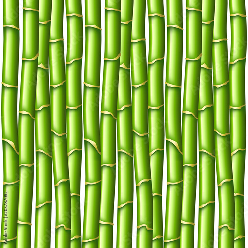 Fototapeta Naklejka Na Ścianę i Meble -  Bamboo texture vector background