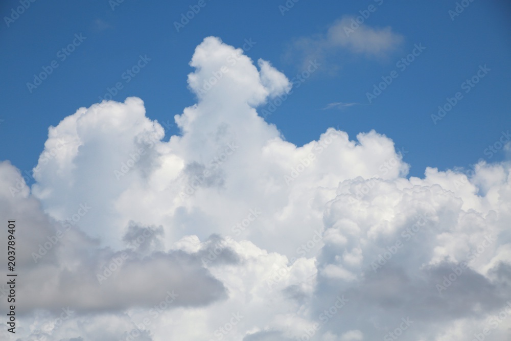 Fluffy Billowy Cumulus Clouds in the Blue Summer Sky in Florida Fluffy Billowy Cumulus Clouds in the Blue Summer Sky in Florida