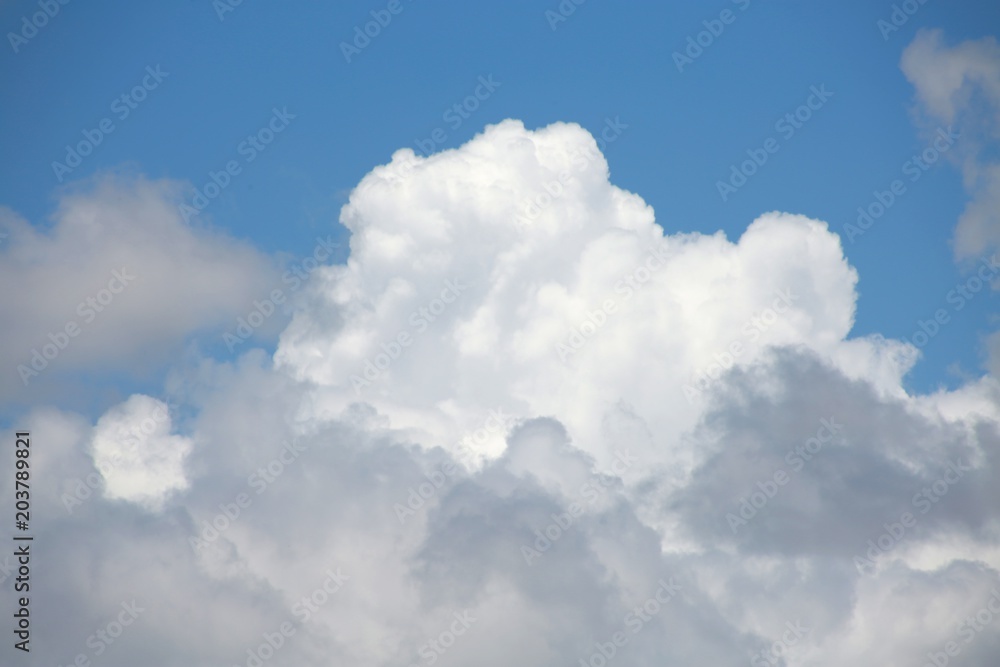 Fluffy Billowy Cumulus Clouds in the Blue Summer Sky in Florida Fluffy Billowy Cumulus Clouds in the Blue Summer Sky in Florida
