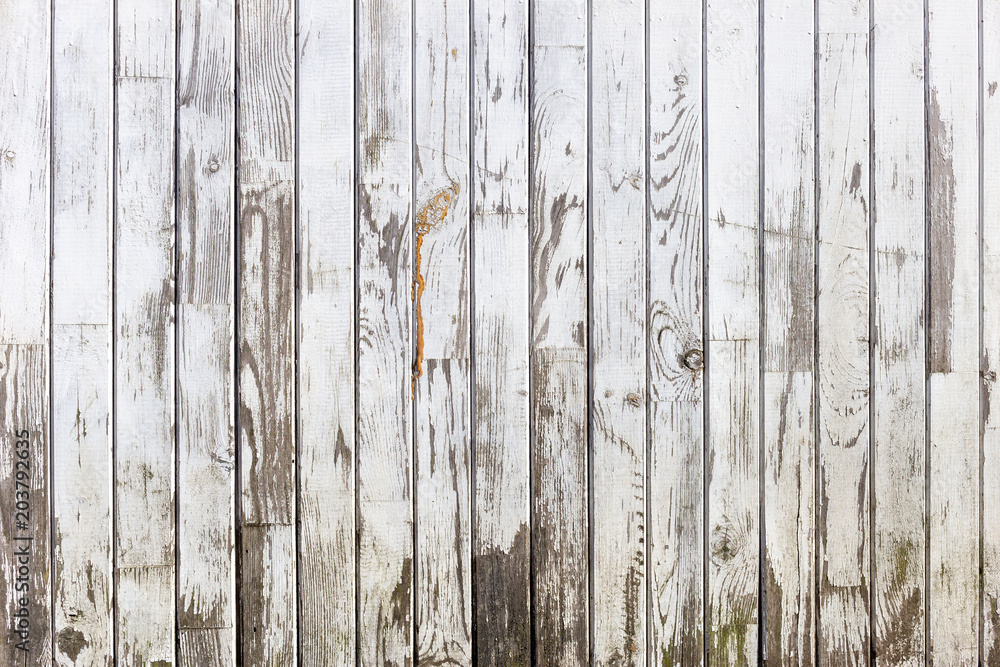 The white wood texture with natural patterns background The white wood texture with natural patterns background