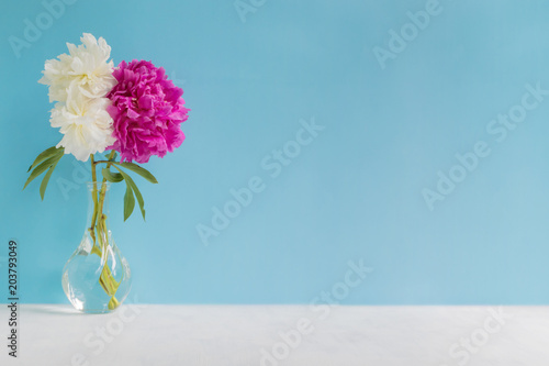 White and pink peonies in a vase