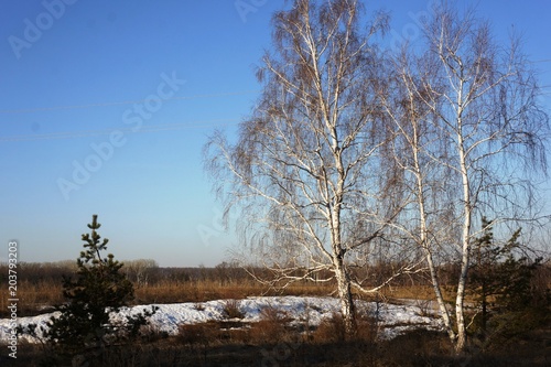 Wallpaper Mural Пейзаж Torontodigital.ca