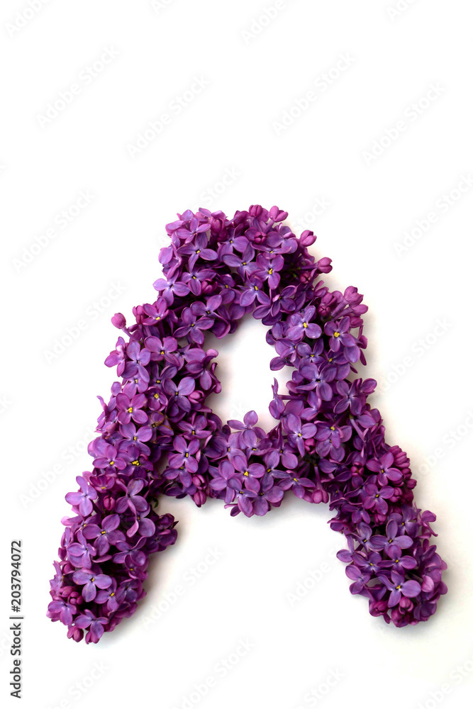 Lilac alphabet Lilac alphabet