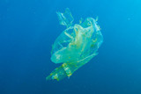 Plastic Pollution - a plastic bag floats in the ocean above a tropical coral reef