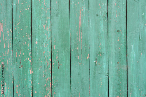 Background from green old wooden boards photo